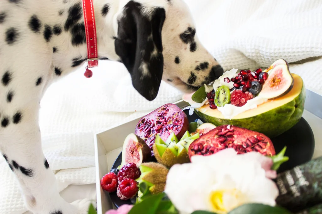 Best dog food for sensitive stomachs