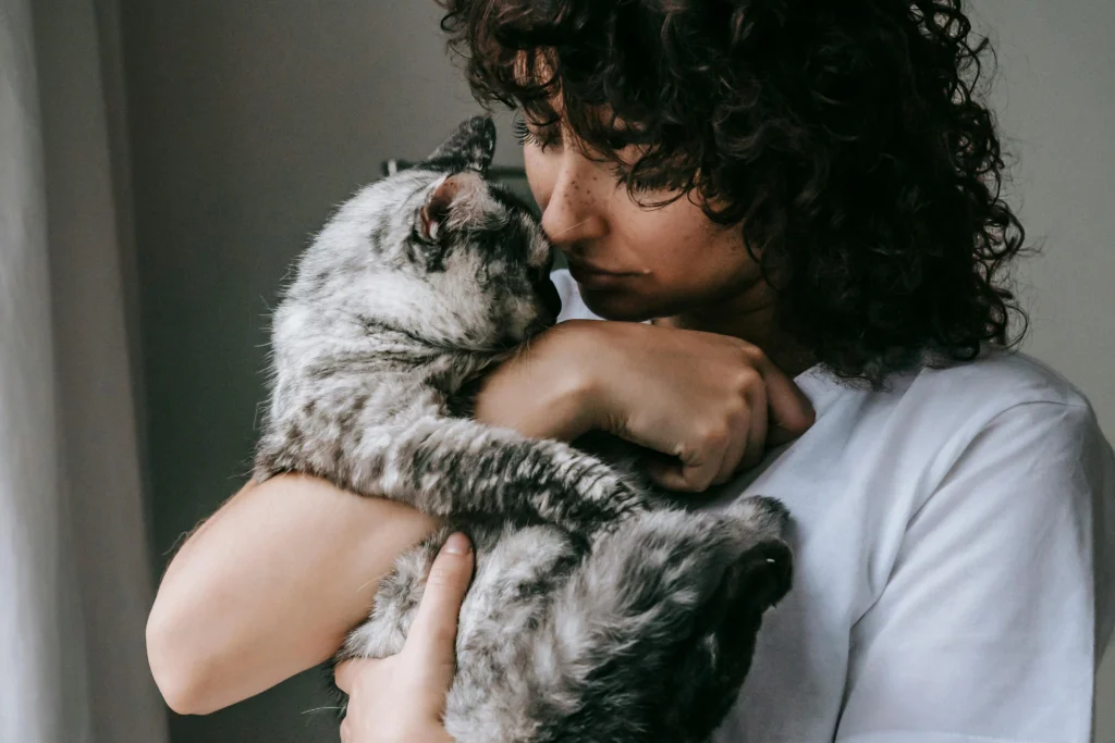 How to Care for an Aging Cat