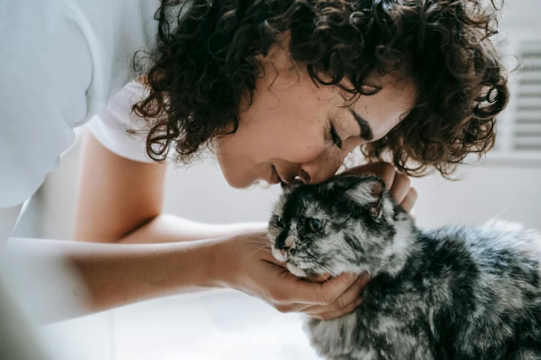 How to Care for an Aging Cat