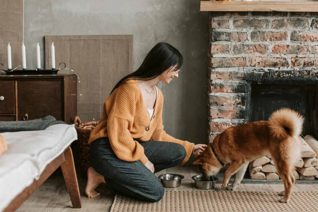Best dog food for sensitive stomachs