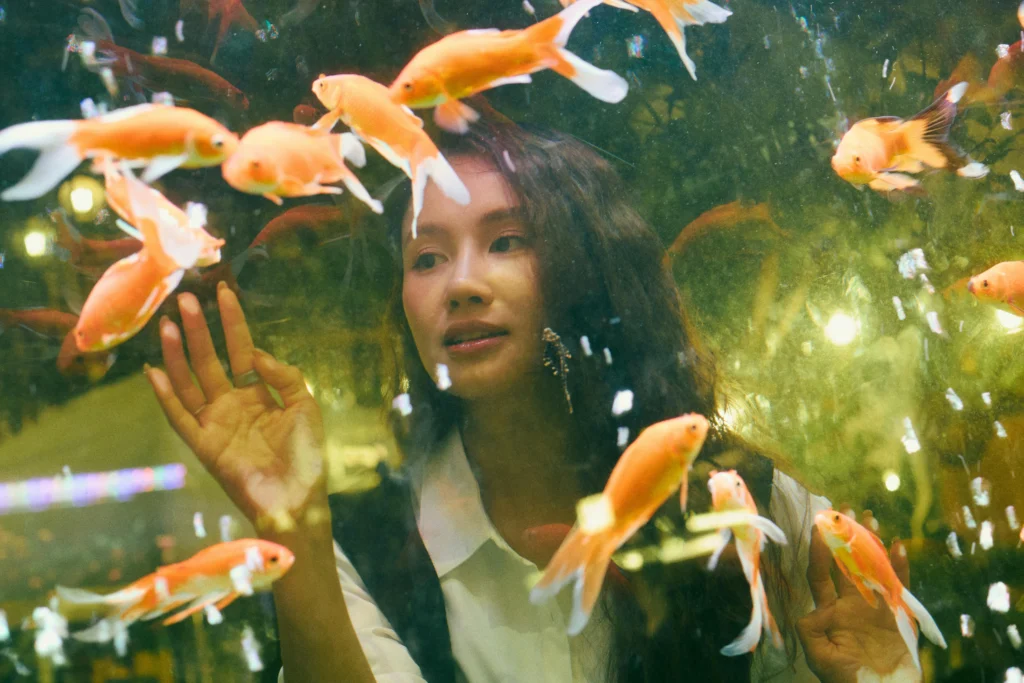 Senior Goldfish Care